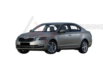 LA-Chiptuning & Dyno Komárom - Skoda Octavia
